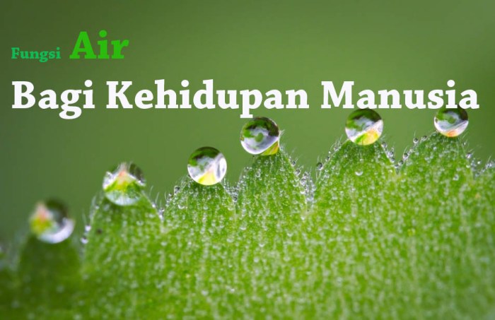 kehidupan manusia