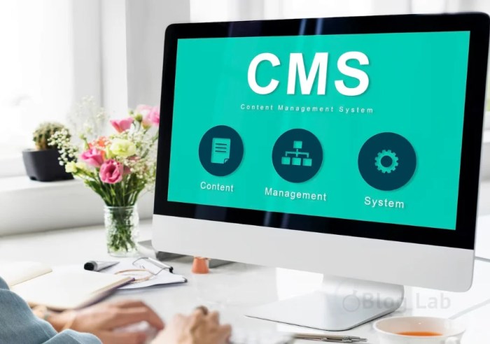 jelaskan fungsi cms untuk sindikasi terbaru