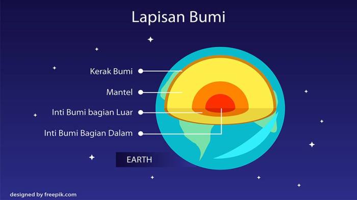 jantung struktur fungsi bahagian