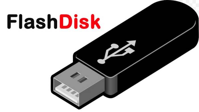 apa fungsi dari flash disk terbaru