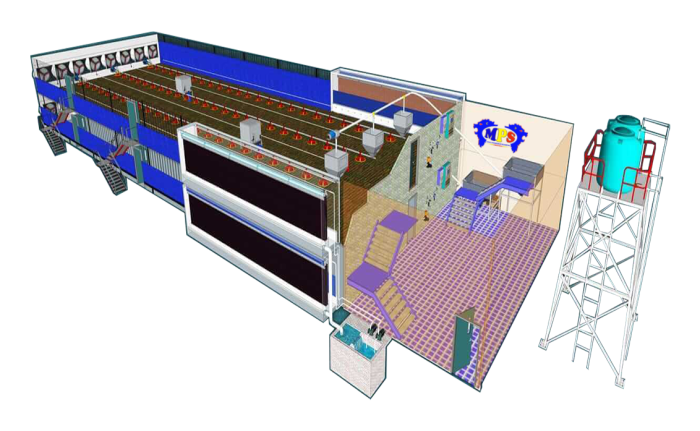 kandang ayam broiler desain pencucian