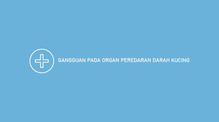 Gangguan darah peredaran penyakit organ soal kelas dan ipa berbagai mengatasinya semester