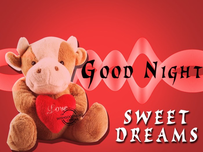 good night have a nice dream too artinya