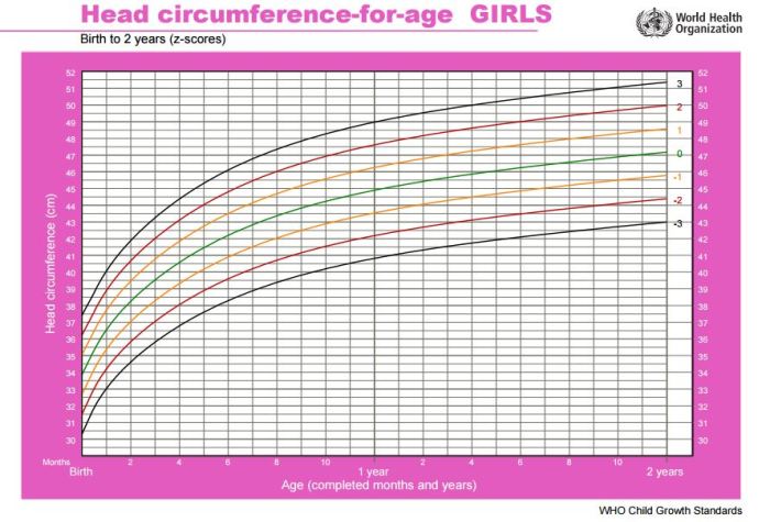 bayi lingkar antropometri pengukuran kepala hidrosefalus berat ubun pengertian terkena tekanan kandungan badan abaikan berisiko siapa berkepala peyang makin breastfeeding