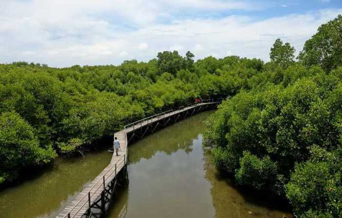 berikut merupakan fungsi hutan kecuali