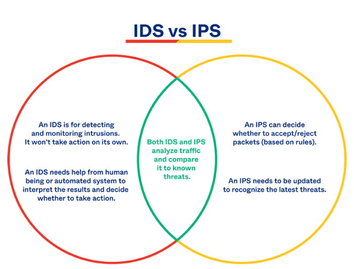 perbedaan ips dan ilmu sosial