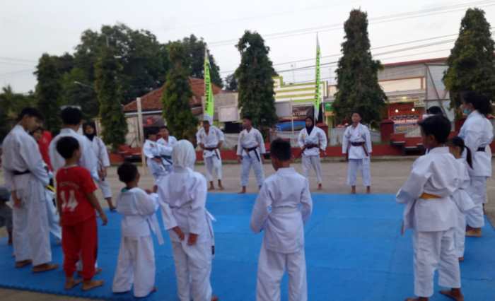 aliran karate di indonesia