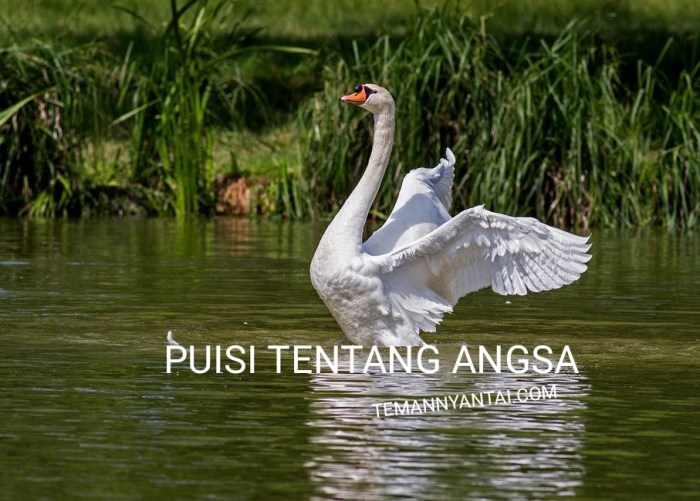 hewan tumbuhan perkembangbiakan buku menyayangi langka mewarnai tema1 siswa tanaman puisi merawat cintai sekitar alam lagi ngetrend rangkuman