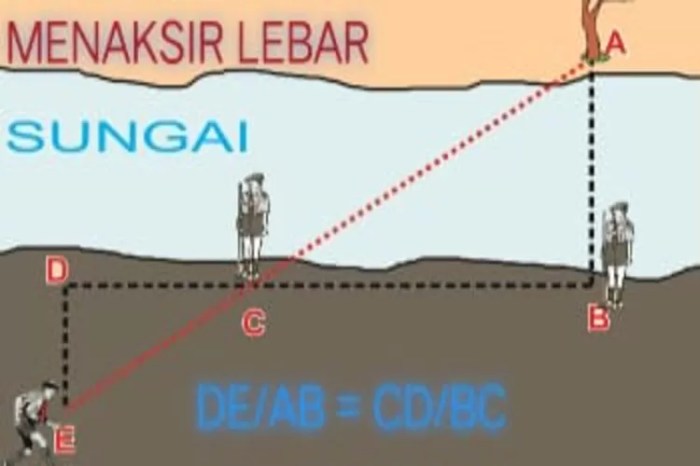 pohon menaksir cara tinggi pramuka materi