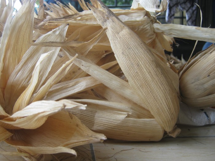 kulit jagung termasuk bahan