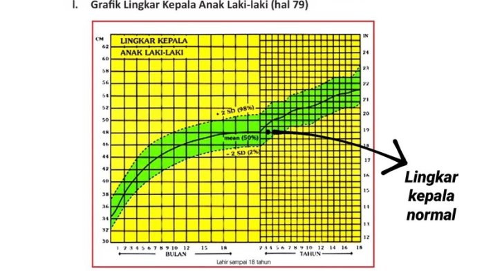 lingkar kepala anak 5 tahun terbaru