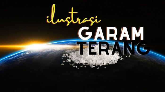 apa arti menjadi garam dunia