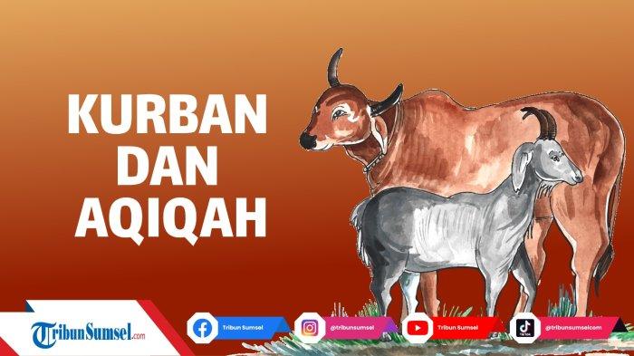 persamaan aqiqah dan qurban