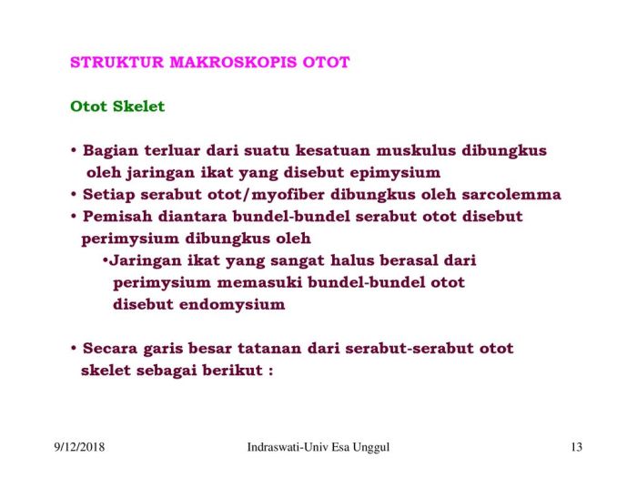 bagian terluar dari suatu objek disebut