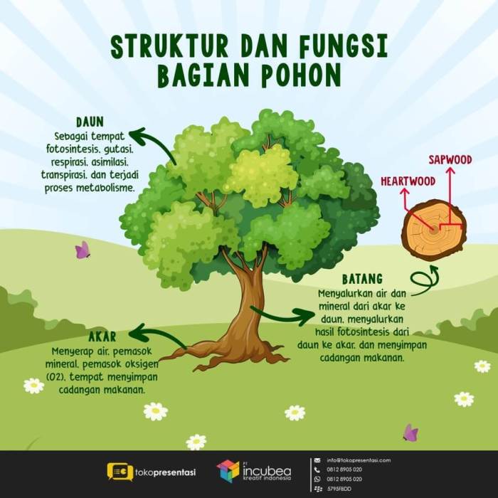 pisang pohon tanaman termasuk bukan perkembangbiakan batang tumbuhan terbesar herbal refleksi referensi sumber google kaskus