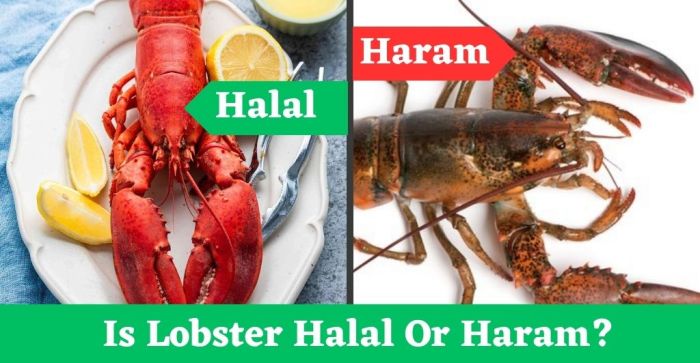 halal haram seafood lobster questionsonislam shia