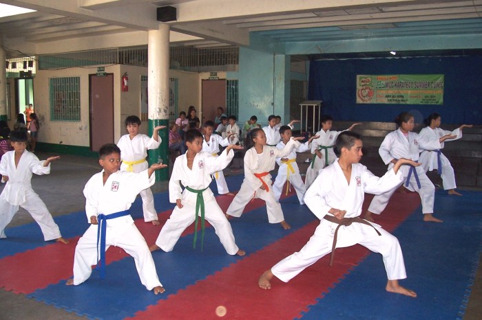 aliran karate di indonesia