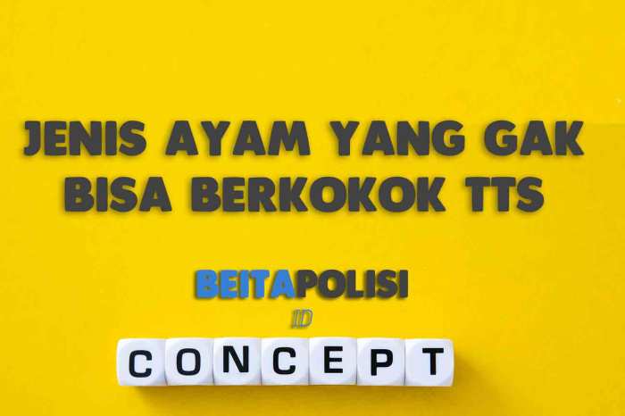 ayam kedu morfologi pedaging petelur ciri kampung klasifikasi kirim anatomi serta ternak mitalom broiler