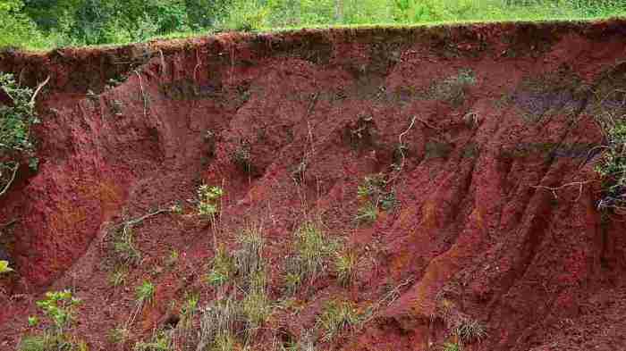 tanah vulkanik kelabu pengertian subur ciri manfaatnya akibat beda berbeda warna faktor ilmuips vulkanis gunung berapi humus meliputi tinggi geography