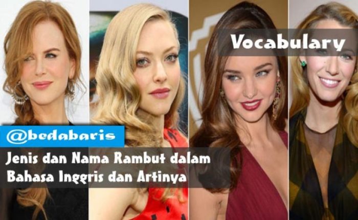 jenis jenis rambut dalam bahasa inggris