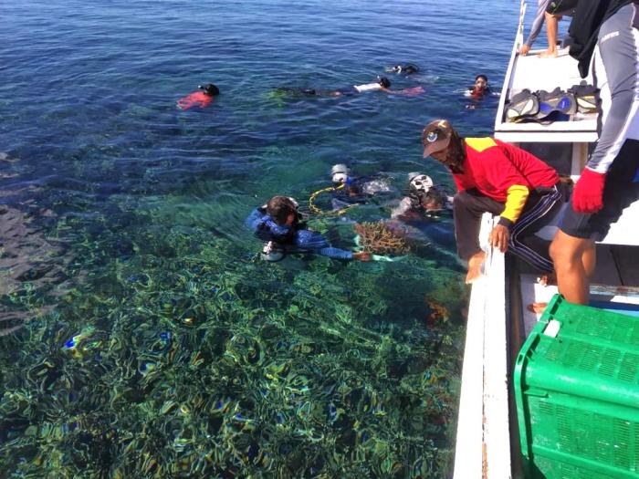 pencemaran dan konservasi perairan laut terbaru