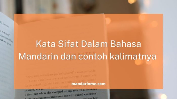 mandarin bahasa negara simak