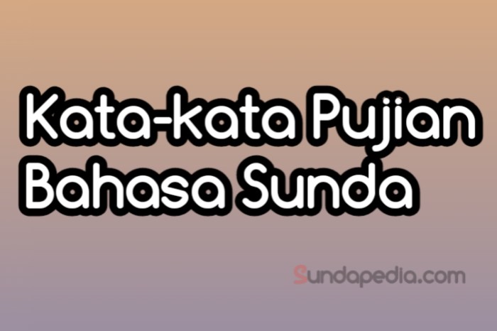 bahasa sunda nya kamu cantik banget