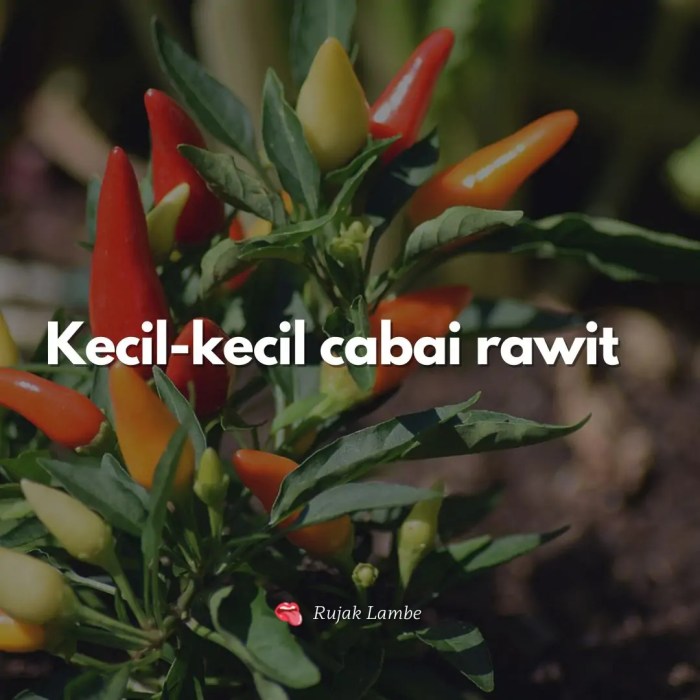 arti kecil kecil cabe rawit