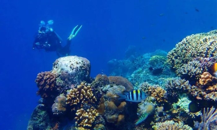 bunaken nasional taman manado dekat indahnya menikmati balai