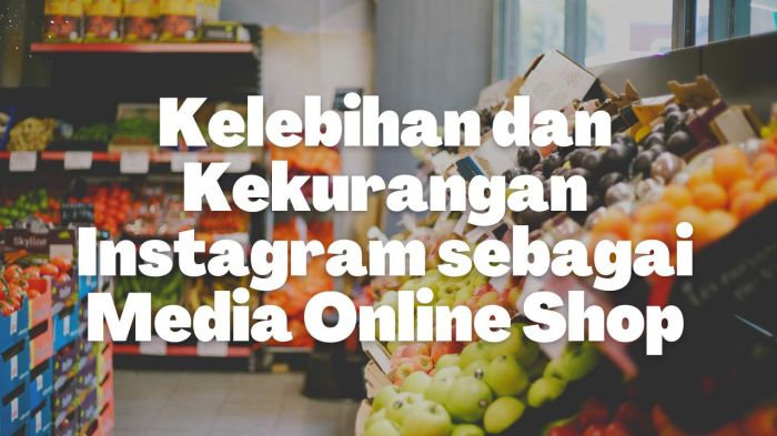 kelebihan dan kekurangan instagram