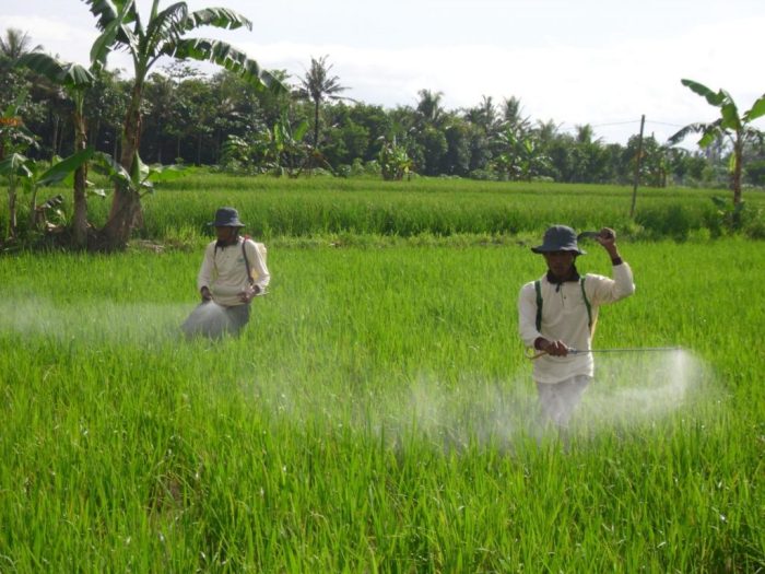 peranan ilmu kimia dalam bidang ekonomi terbaru