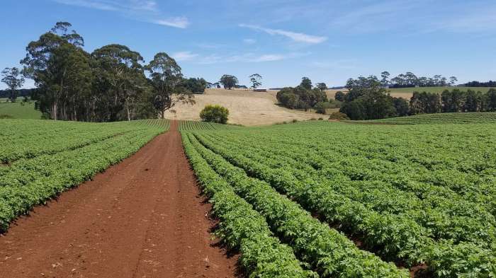 farms tanah subur agricoltura ciri kesuburan farming gis fertile lahan regione pertanian campagna locali unione lempung agroalimentari difesa lancia tern