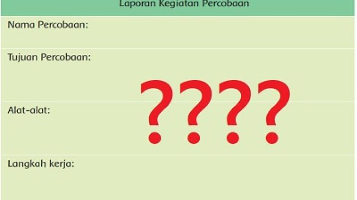 lup sederhana pada dasarnya yaitu