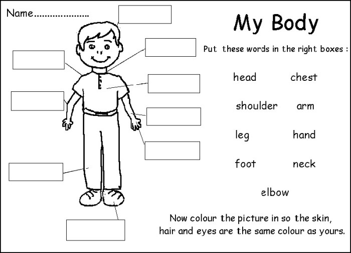 mewarnai gambar bahasa inggris terbaru