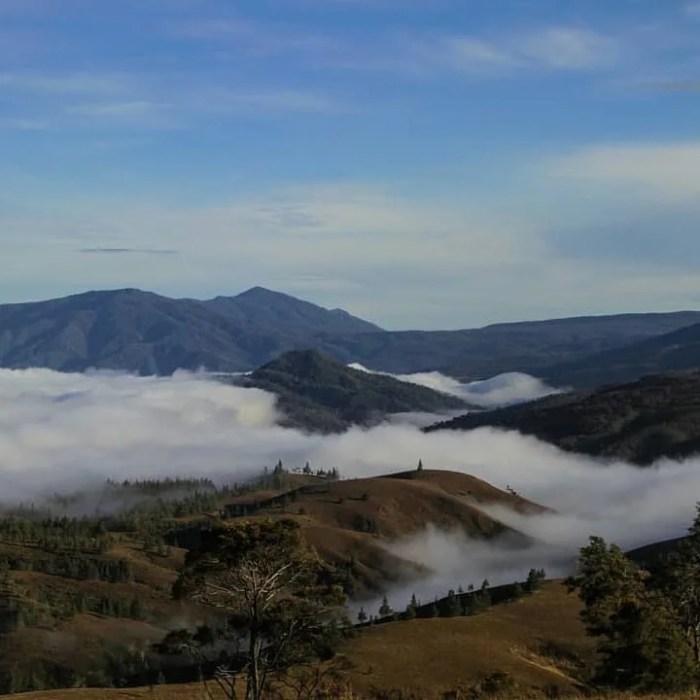 pulau wisata pura tanah menarik dikunjungi