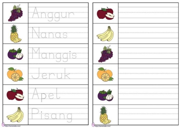 bahasa latin buah buahan terbaru