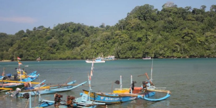 diarani pesisir sendang biru jalaran terbaru