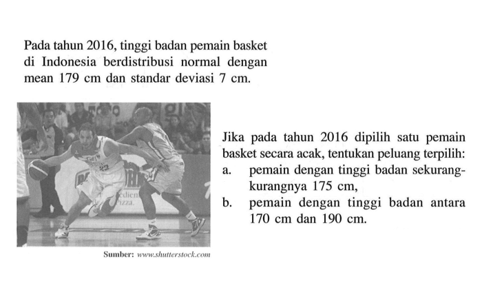 tinggi badan pemain basket terbaru