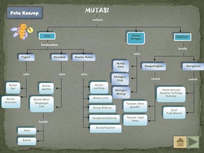 peta konsep mutasi kelas 12 terbaru