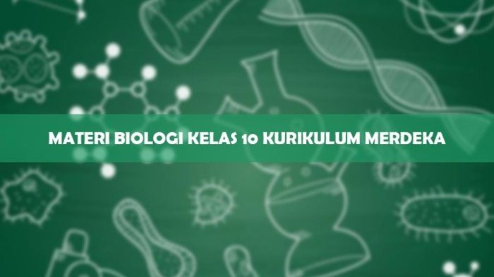 rangkuman biologi kelas 11 semester 2 terbaru