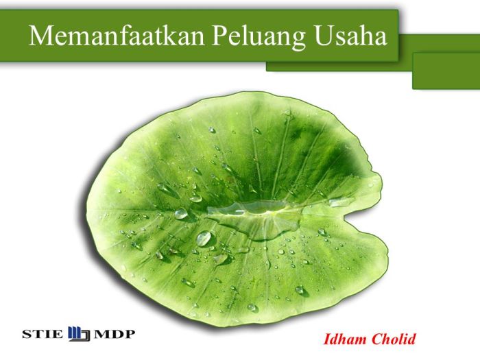 bagaimana cara memanfaatkan peluang usaha terbaru