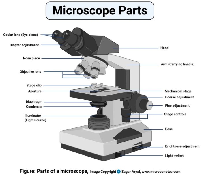 the compound microscope has not one