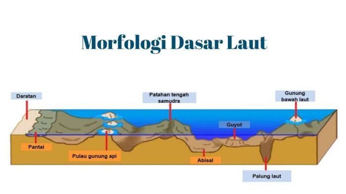 gambar morfologi dasar laut