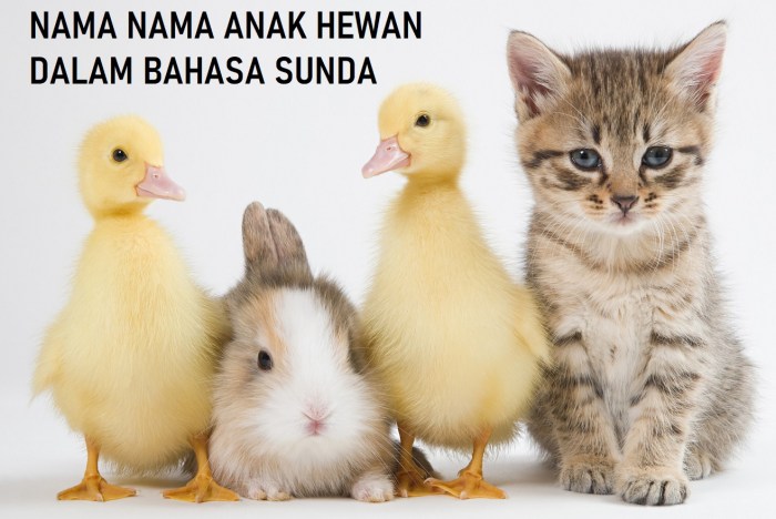 idiom kata ungkapan mengenal sunda makna orang ketika yu supaya berkomunikasi