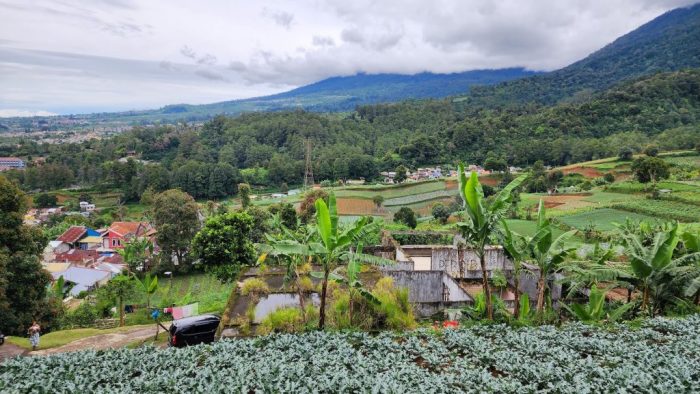 bali pulau indah menarik contoh liburan cerpen populer teks