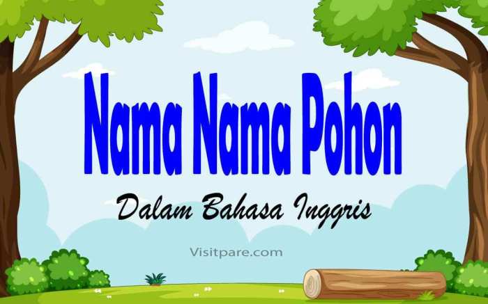 materi pohon latihannya soal inggris bahasa