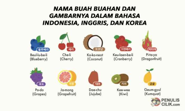 buah dalam bahasa jepang