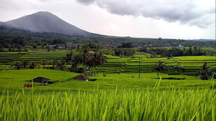 nama nama dataran rendah pulau sulawesi terbaru