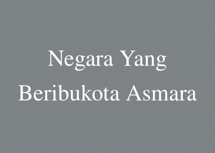 negara yang beribukota port vila terbaru