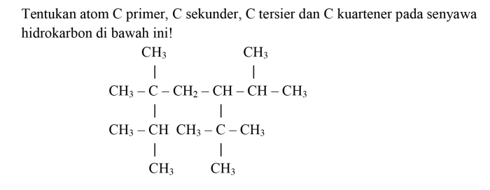 contoh atom karbon primer terbaru